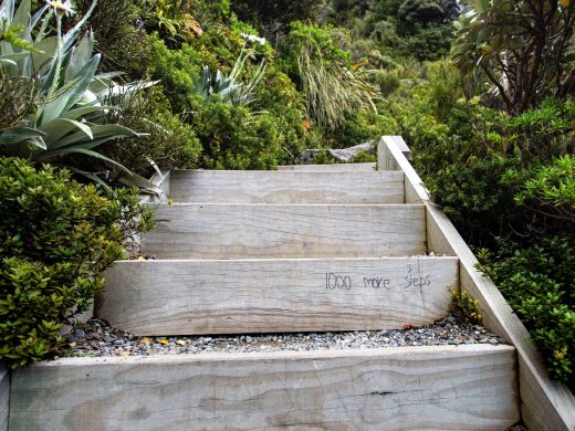 Picture of wooden steps going through bush